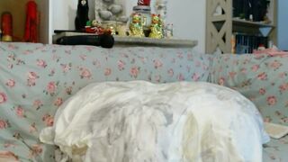 AmelieandRoss - Porn Video [Bongacams]: enthusiastic streamer, girl’s live show, sensual pleasure