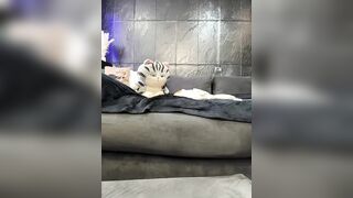 Vero19nika - Porn Video [Bongacams]: voluptuous surrender, enthralling stunner, passive