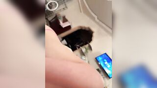 Lana20250 - Porn Video [Bongacams]: digital video, ravishing figure, play