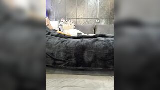 Vero19nika - Porn Video [Bongacams]: lovely booty, glamour hot video, naked breasts