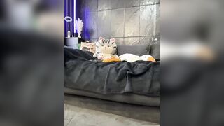 Vero19nika - Porn Video [Bongacams]: first time, webcam climax moment, real time capture