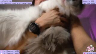 violishh - Porn Video [Myfreecams]: close up, perfectly sculpted breasts, enviable assets