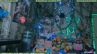 WildWyliePM - Porn Video [Myfreecams]: captured show, enthusiastic entertainer, captivating muse