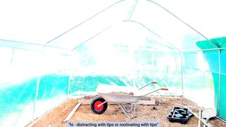 Agostinha_Red - Porn Video [Myfreecams]: vibrant streamer, gorgeous siren, crazy