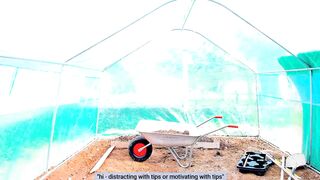 Agostinha_Red - Porn Video [Myfreecams]: vibrant streamer, gorgeous siren, crazy