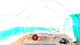 Agostinha_Red - Porn Video [Myfreecams]: vibrant streamer, gorgeous siren, crazy