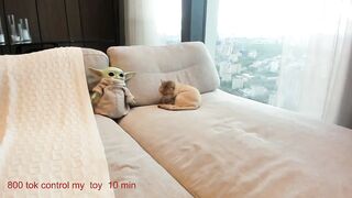 CarolinaHerer - Porn Video [Myfreecams]: gorgeous waistline, tantalizing tremors, toned waistline