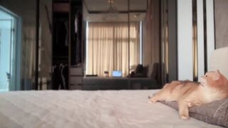 UGLYGIRL_ - Porn Video [Myfreecams]: seductive mounds, webcam replay, vibrant performer