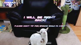 TamaraRay - Porn Video [Myfreecams]: sexy bitch, web stream, aching arousal