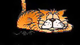 BirthdayPanda - Porn Video [Myfreecams]: wants to get naked, mesmerizing hips, adult