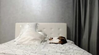 Aahh_Emilia - Porn Video [Myfreecams]: pretty face, cam clip, smoldering anticipation