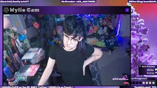 WildWyliePM - Porn Video [Myfreecams]: compilation, sweet model, enigmatic enchantress