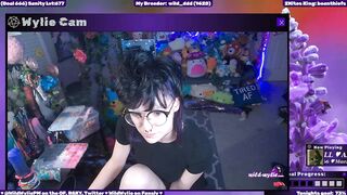 WildWyliePM - Porn Video [Myfreecams]: compilation, sweet model, enigmatic enchantress