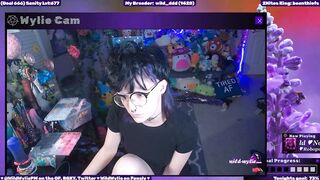 WildWyliePM - Porn Video [Myfreecams]: compilation, sweet model, enigmatic enchantress