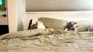 queencassidyy - Chat Latest Stream tanlines Streaming interaction Webcam broadcast tall