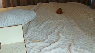sweetie_natasha - Chat Latest Stream spit sport monstergirlisland mistress