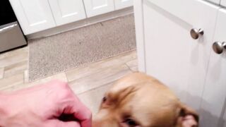 holihurricane - Chat Latest Stream lesbian trimmed vape bestass