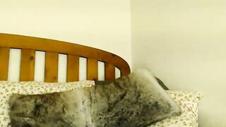 pakeha_princess - Chat Latest Stream stud hugeass feed Stream snapshot