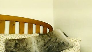 pakeha_princess - Chat Latest Stream stud hugeass feed Stream snapshot