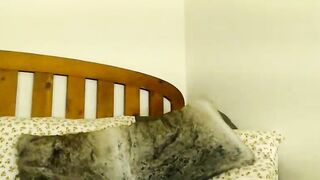 pakeha_princess - Chat Latest Stream stud hugeass feed Stream snapshot