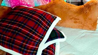 imjoanna - Chat Latest Stream striptease hairyarmpit cut dp