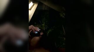 Bigbuttbrooklynn - Strip Latest Stream erotic-dance bbw-young twerk-young big-tits-blowjob