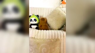 kaori_77 - Strip Latest Stream brunettes erotic-dance handjob latin