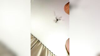 CaseyCumFace - Strip Latest Stream dildo-or-vibrator-deepthroat topless facial twerk-white