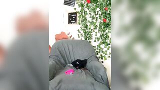 butterflybootyy - Strip Latest Stream nylon hd brunettes-young ebony-big-clit