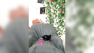 butterflybootyy - Strip Latest Stream nylon hd brunettes-young ebony-big-clit