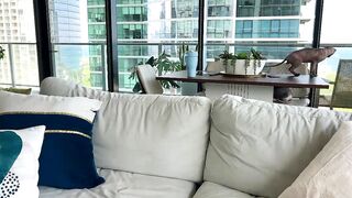 Graciemae_baexx - Strip Latest Stream spanking recordable-privates-young masturbation blondes-young