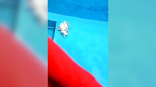 Nisha_Cute - Strip Latest Stream indian affordable-cam2cam brunettes-young fingering-indian
