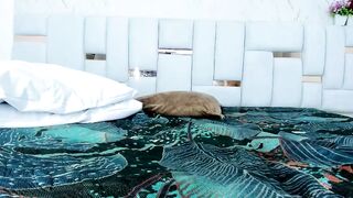 guadalupe21_ - Chat Latest Stream Webcast record tokens veryhard hard