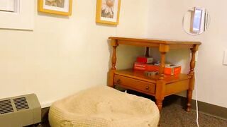 bellatrix993 - Chat Latest Stream Visual recording nails pinkhair quirky