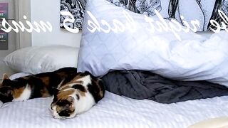 violetvio1ator - Chatr Online Stream tokenkeno doggy prvt serve