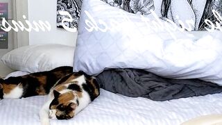 violetvio1ator - Chatr Online Stream tokenkeno doggy prvt serve