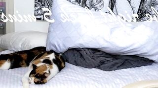 violetvio1ator - Chatr Online Stream tokenkeno doggy prvt serve