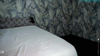 notfallenangel - Chatr Online Stream sub longlegs swallow cashmaster