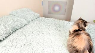 katybloom_ - Chatr Online Stream feetshow cumatgoal nonnude eighteen