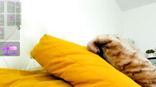 _timeless_paradox - Chaturbate Online Stream cumshowgoal mature smalltits phonesex