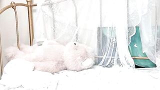 jingyan666 - Chaturbate Online Stream orgy sweet Visual broadcast dominate