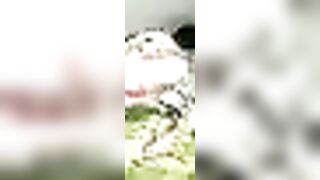 eveangelll - Stripchat Online Stream outdoor brunettes middle-priced-privates-milfs hd