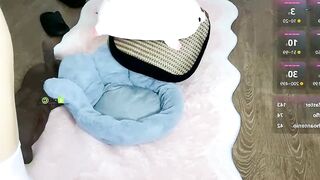 momo-5952 - Stripchat Online Stream petite anal-young upskirt anal-fingering