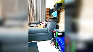 Deisy_Torres - Stripchat Online Stream blowjob-ahegao striptease-young glamour latin