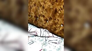 Sania-Love - Stripchat Online Stream cheapest-privates-young big-ass-young cheapest-privates-best shower