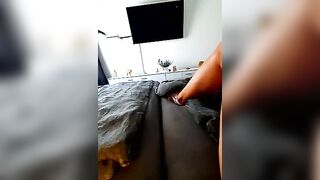 SexyJulia21 - Stripchat Online Stream topless-milfs mobile doggy-style camel-toe