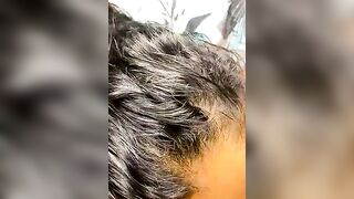 mayemarc - Stripchat Online Stream striptease cheapest-privates-best cam2cam latin