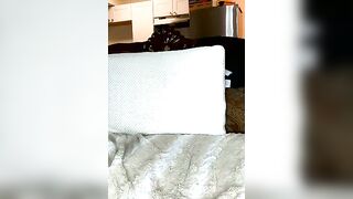 foxy_ana13 - Stripchat Online Stream hd dildo-or-vibrator-teens topless-white cuckold