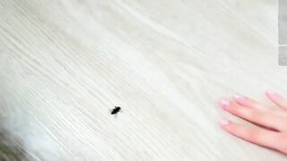 honeybae3 - Chaturbate Stream fucking yoga lushon socks