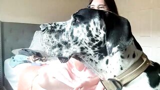 bambifarrina - Chaturbate Stream dress maid blueeyes hidden show